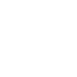 Analitica